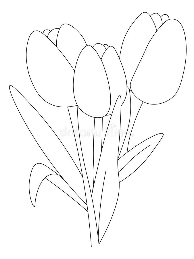 Tulip coloring page for kids stock vector