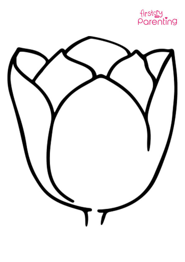 Tulip bud coloring page for kids