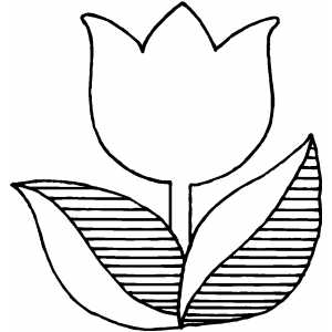 Single tulip coloring sheet