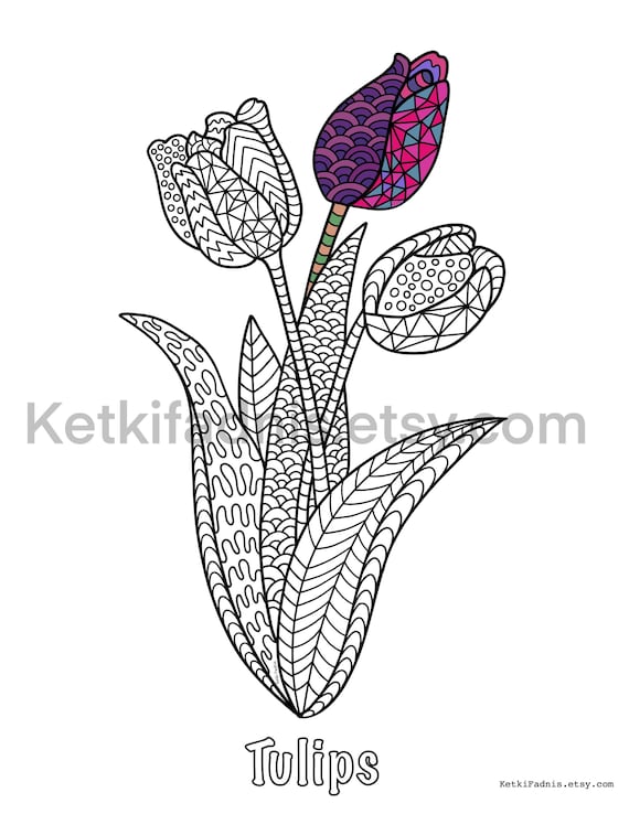 Tulips coloring page flowers coloring page pdf download digital download coloring page