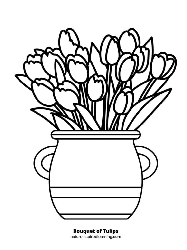 Beautiful tulip coloring pages