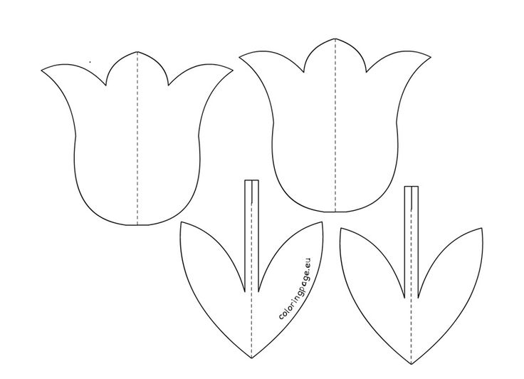 D tulip flower template coloring page paper flowers craft templates flower template paper flowers craft