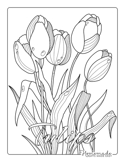 Free flower coloring pages for kids adults