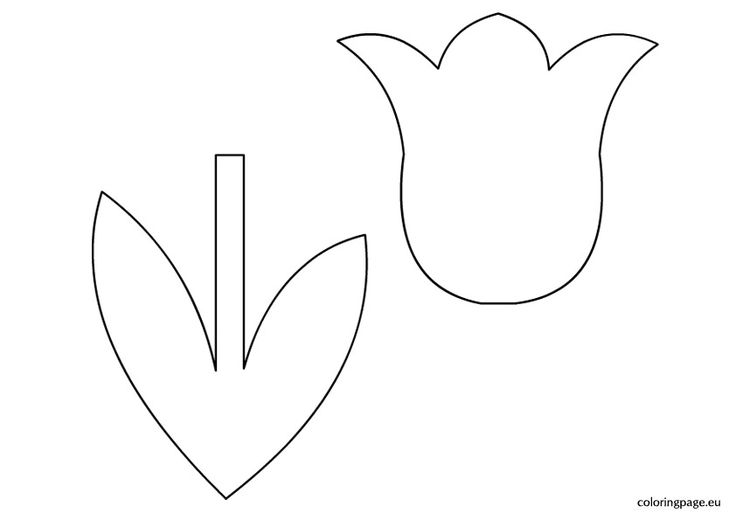 Free printable tulip flower template