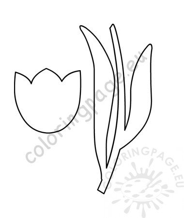 Tulip flower template