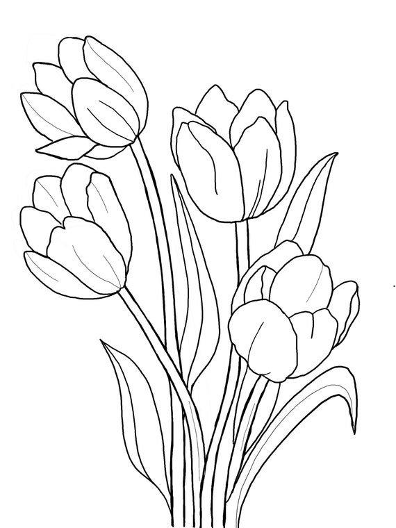 Printable floral coloring sheets coloring pages adult coloring pages kids coloring pages coloring flowers