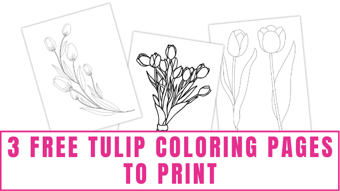 Free tulip coloring pages to print