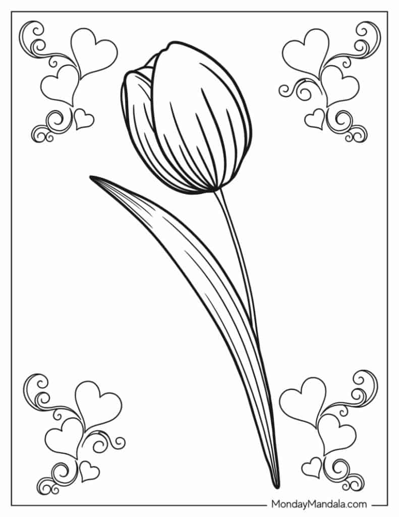 Tulip coloring pages free pdf printables