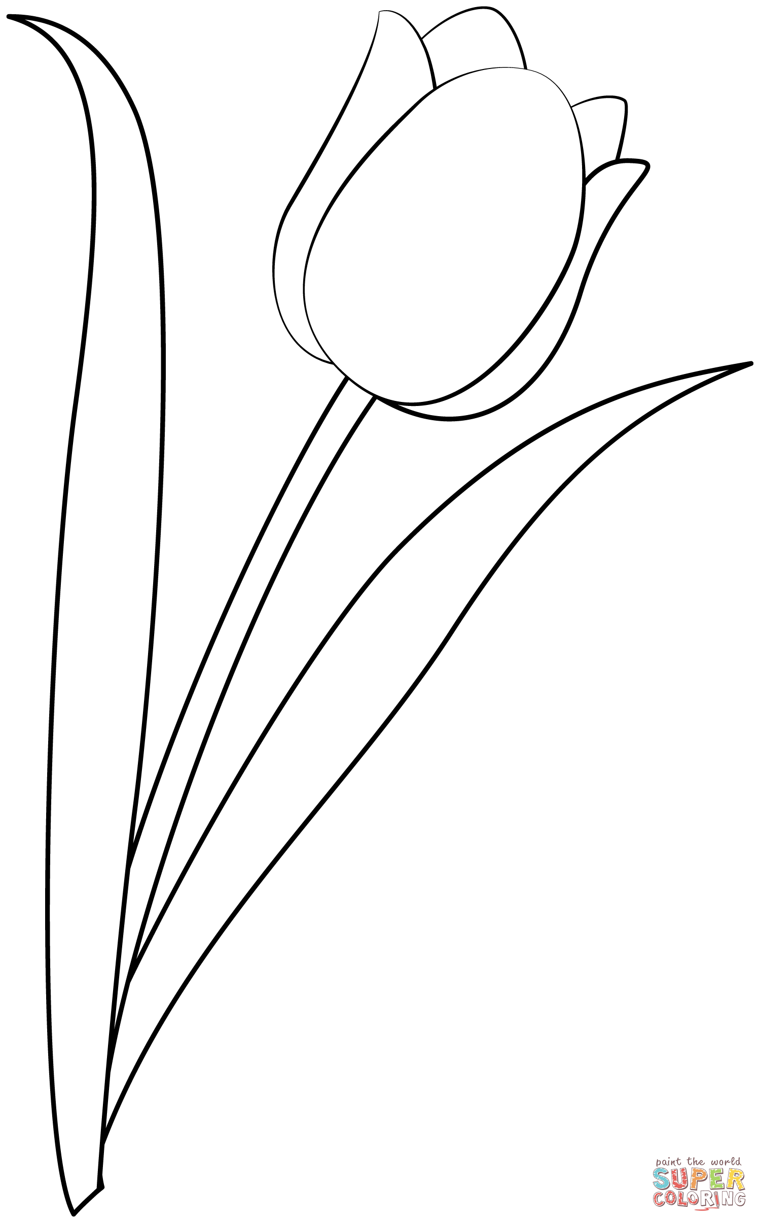 Tulip coloring page free printable coloring pages