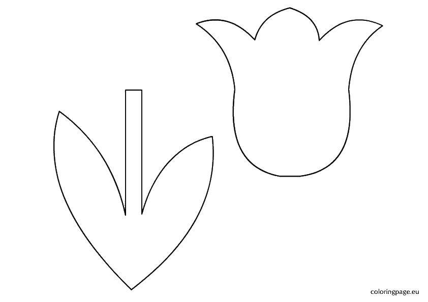 Online coloring pages tulip coloring cut the tulip coloring