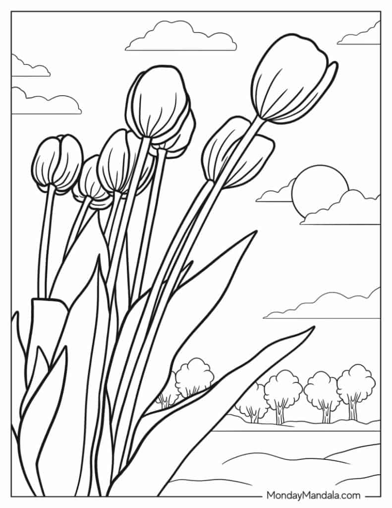 Tulip coloring pages free pdf printables