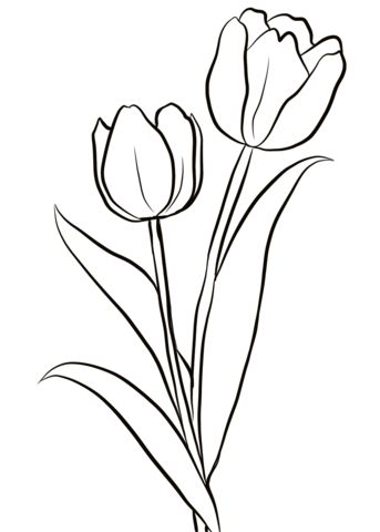 Two tulips coloring page from tulip category select from printable crafts of cartoons nature â esboãos de flor flores para colorir coisas para desenhar