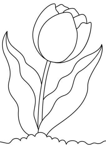 Tulip coloring pages free coloring pages