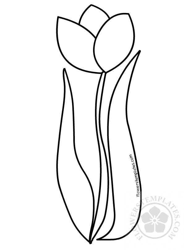 Printable tulip coloring pages for kids