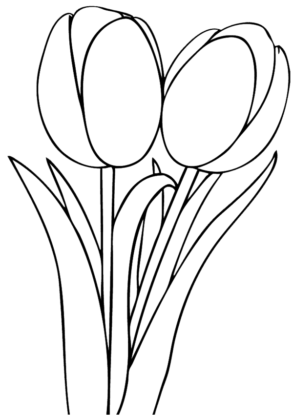 Tulip coloring pages free printable coloring pages for kids