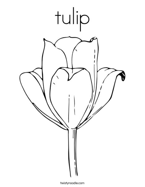 Tulip coloring page