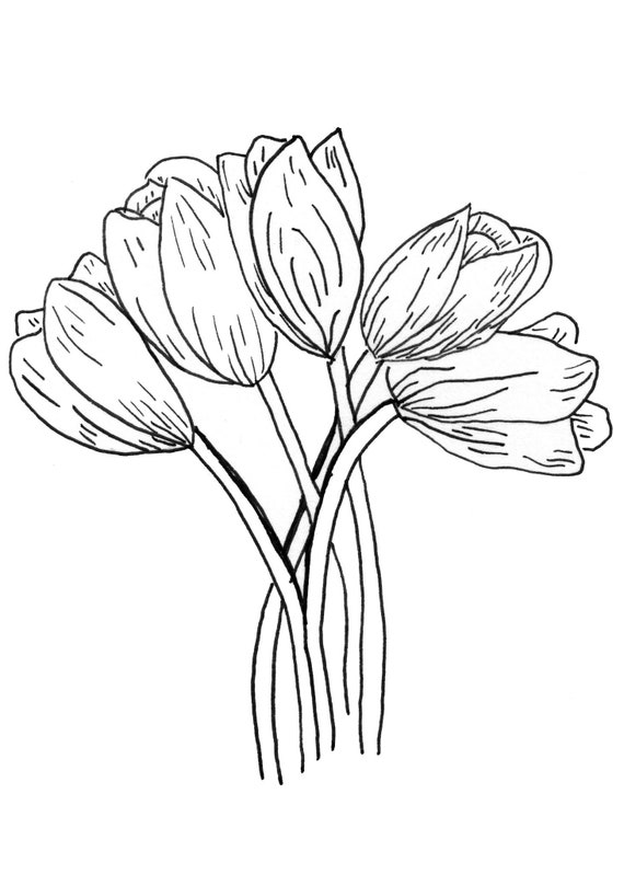 Original tulip coloring pages floral coloring easy fun coloring pages adult coloring pages diy art printable coloring pages tulips