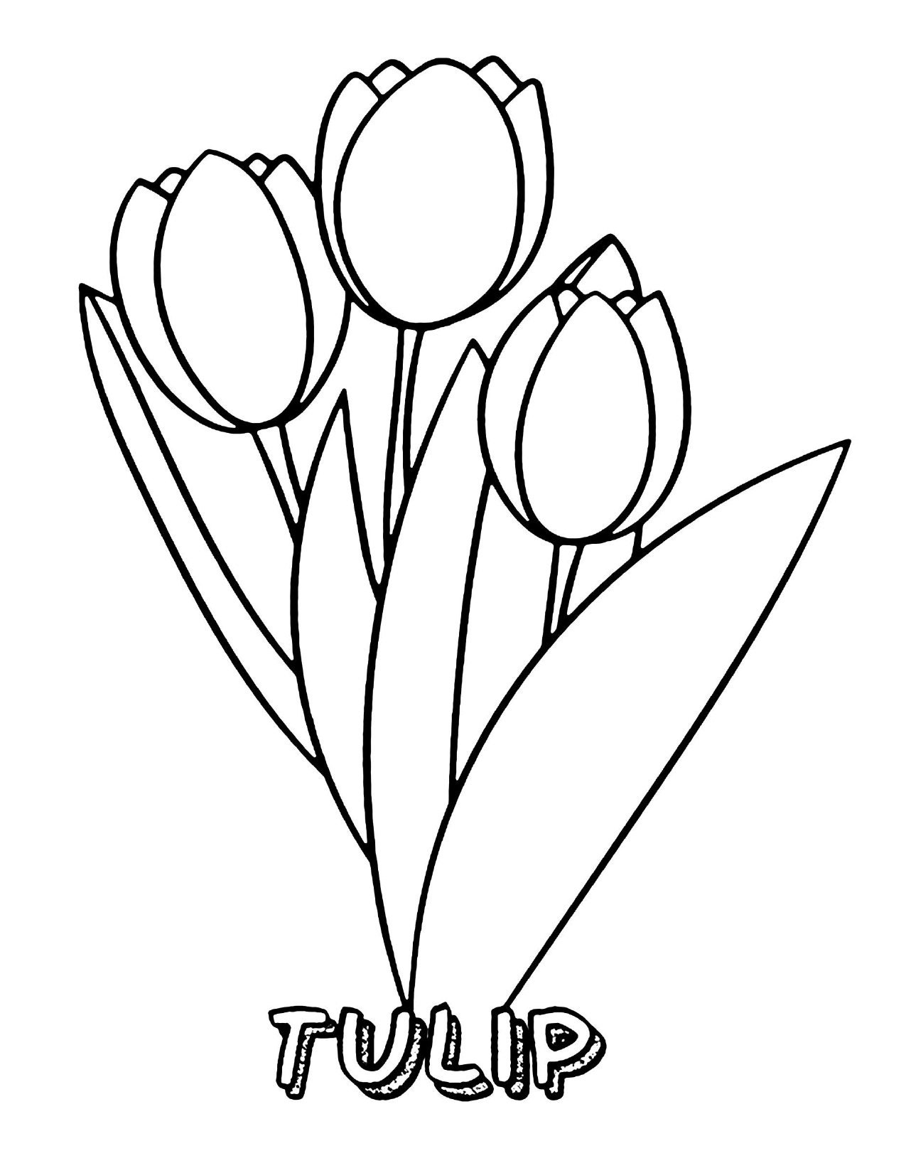 Flower coloring pages for kids