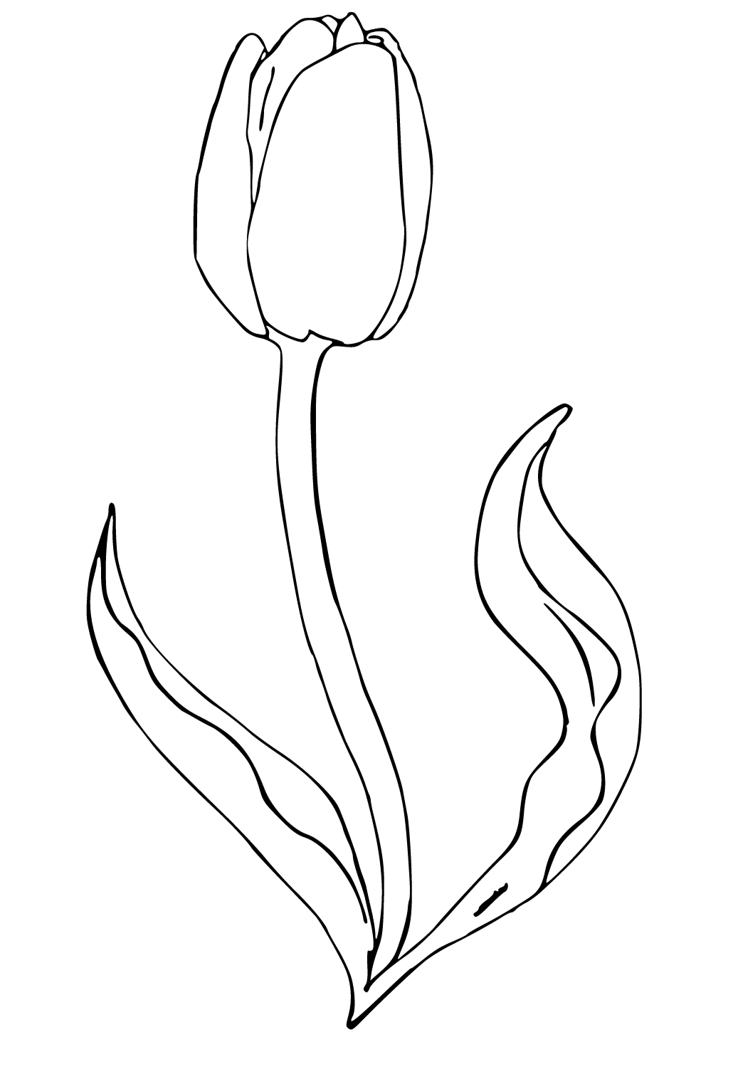 Free printable tulip bend coloring page for adults and kids