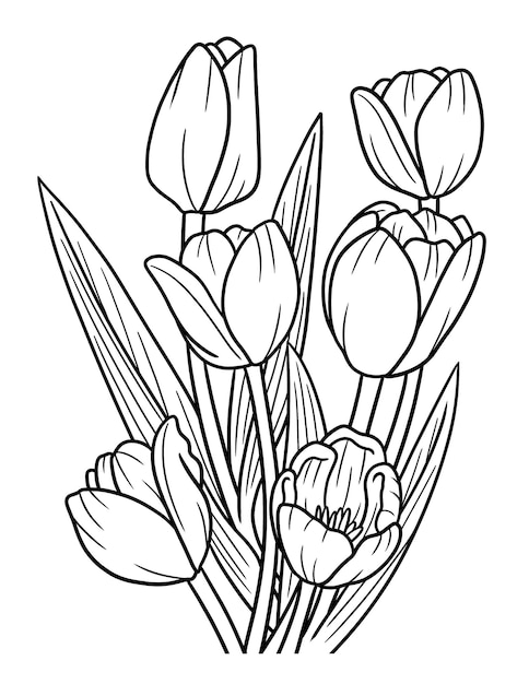 Premium vector tulips flower coloring page for adults