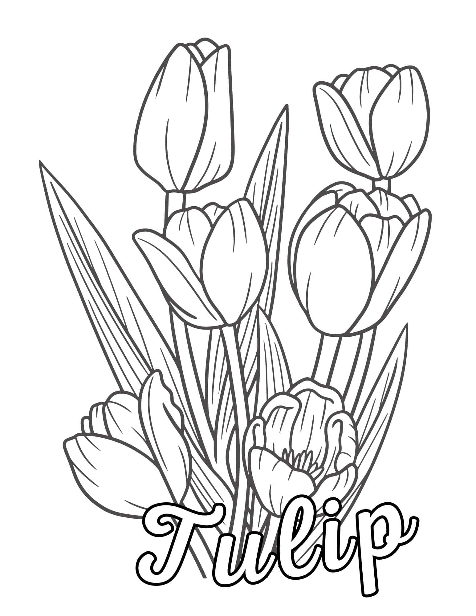 Stunning flower coloring pages for kids and adults