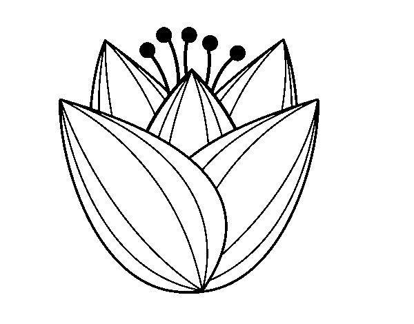 Tulip flower coloring page