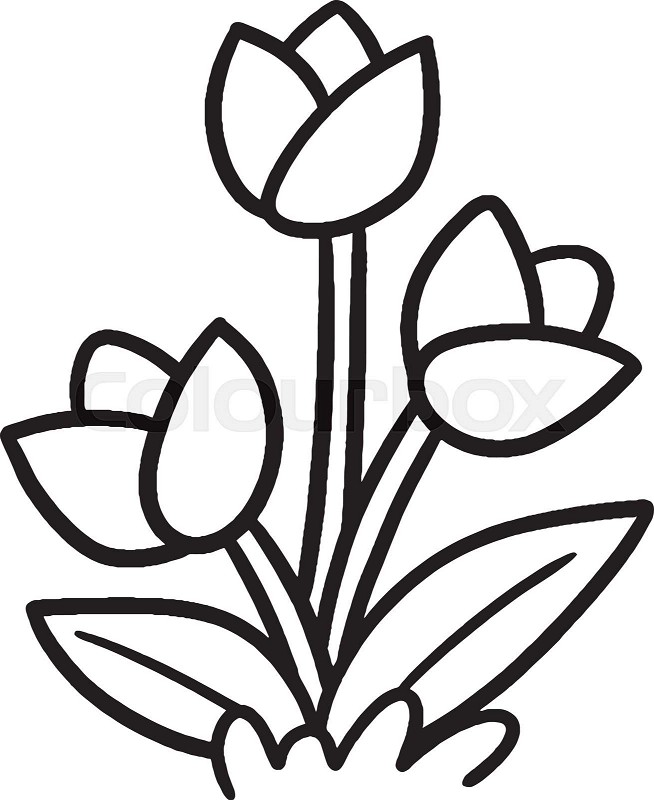 Tulip flower isolated coloring page for kids stock vector