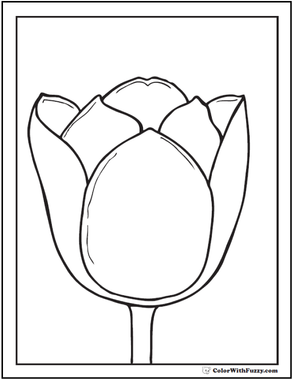 Tulip flower coloring pages pdf printables