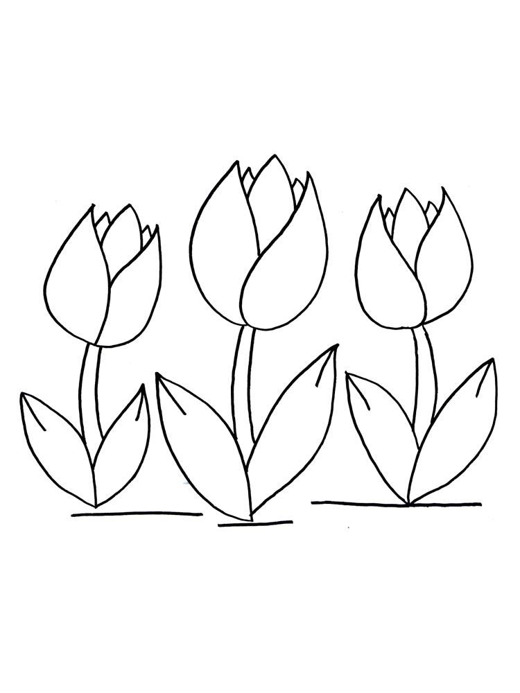 Printable and easy tulip coloring pages for kids