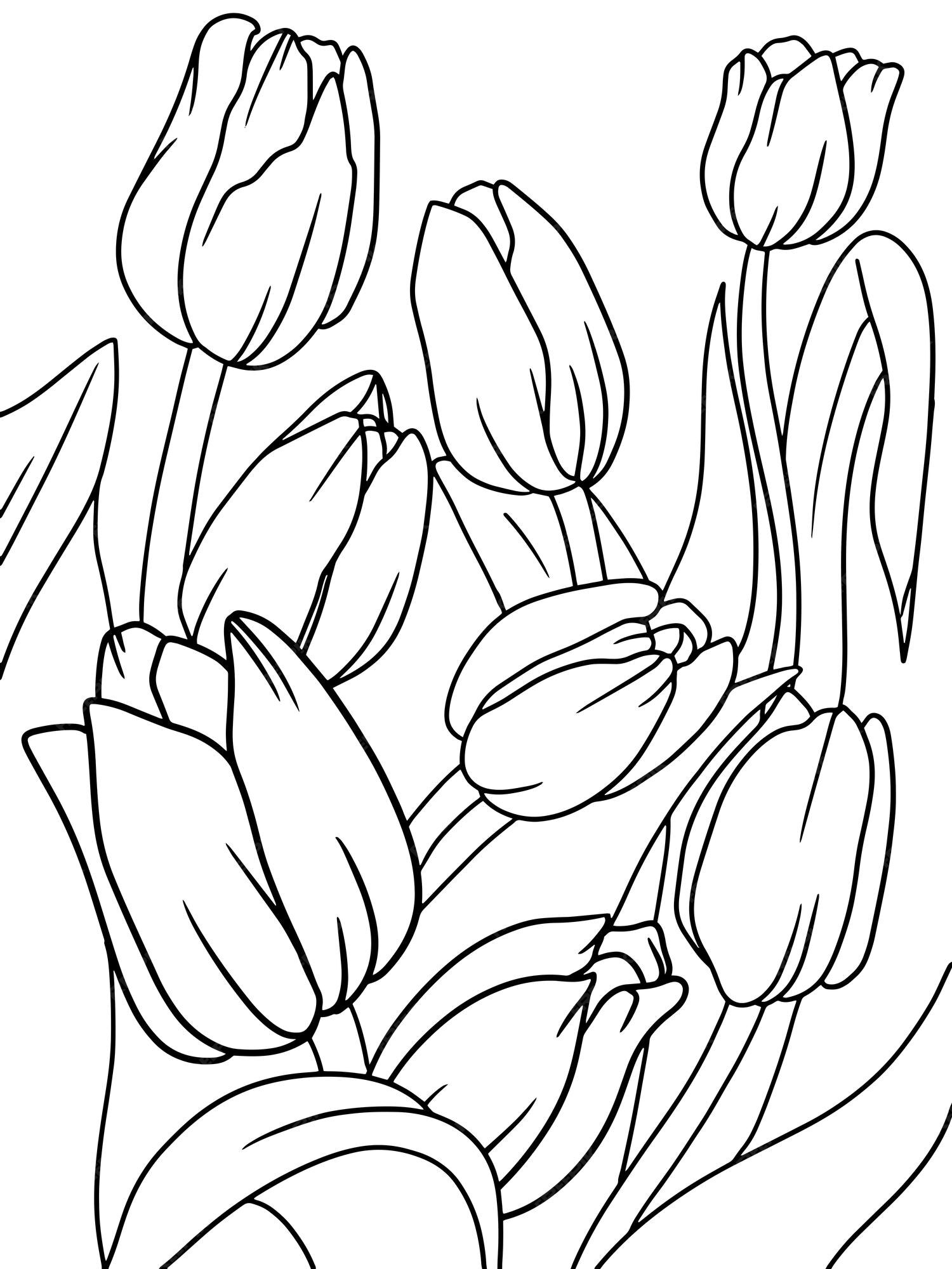 Premium vector coloring tulip plant flower outline vector page outline of cartoon