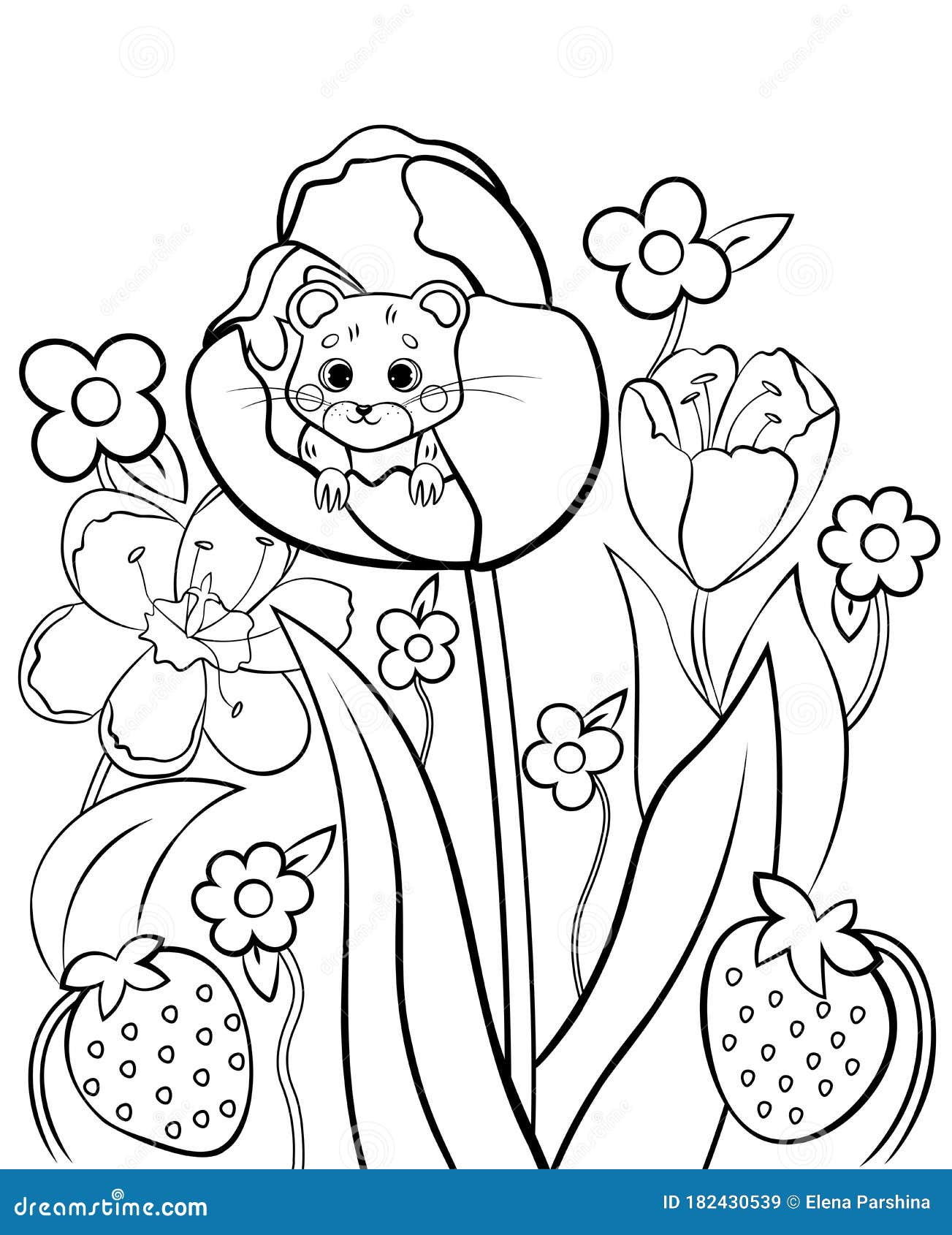 Coloring page outline of cute cartoon forest vole or mouse with flower tulip vector image with floral background stock vector