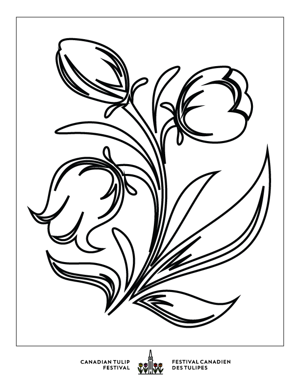 Colouring pages