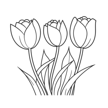 Tulip outline png transparent images free download vector files