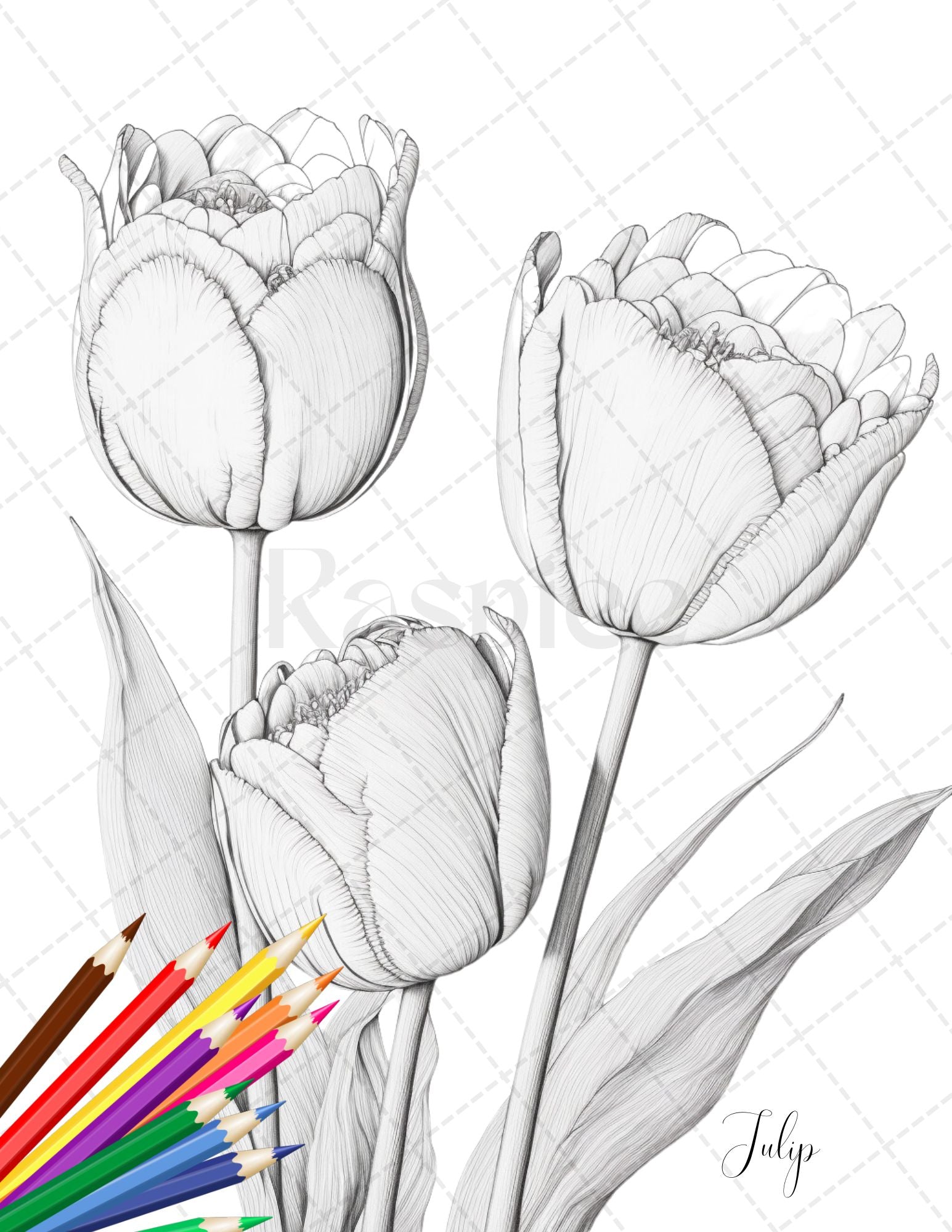 Botanical flowers printable coloring pages for adults floral grays â coloring