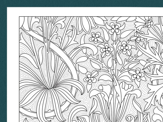 Tulip garden adult coloring page william morris detailed printable pdf art nouveau illustration digital download coloring book