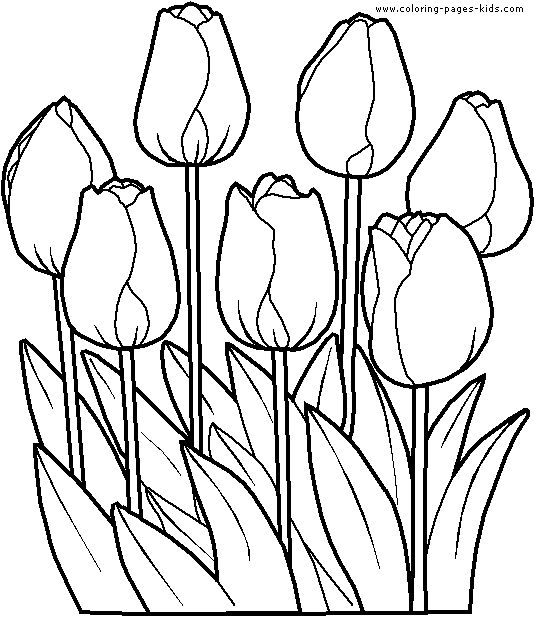 Tulip stencils