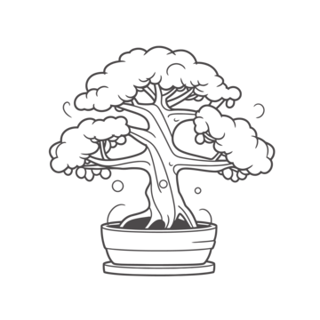 Bonsai drawing png transparent images free download vector files