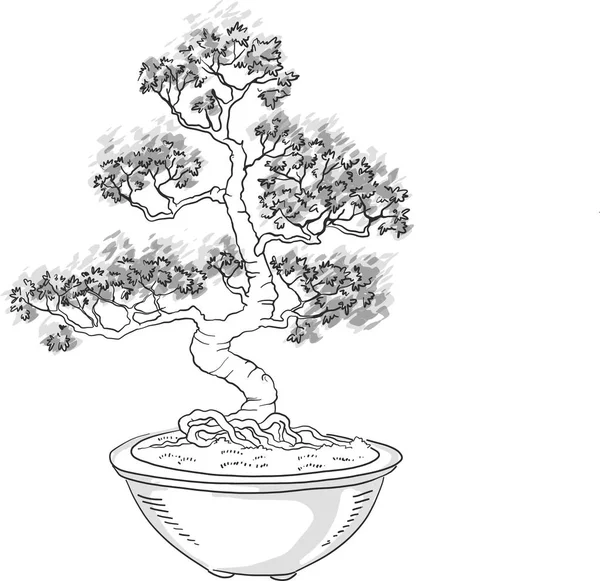 Bonsai tree japanese tree miniature silhouette on a white background potted tree japanese art vector isolated on white background stock vector by hibou