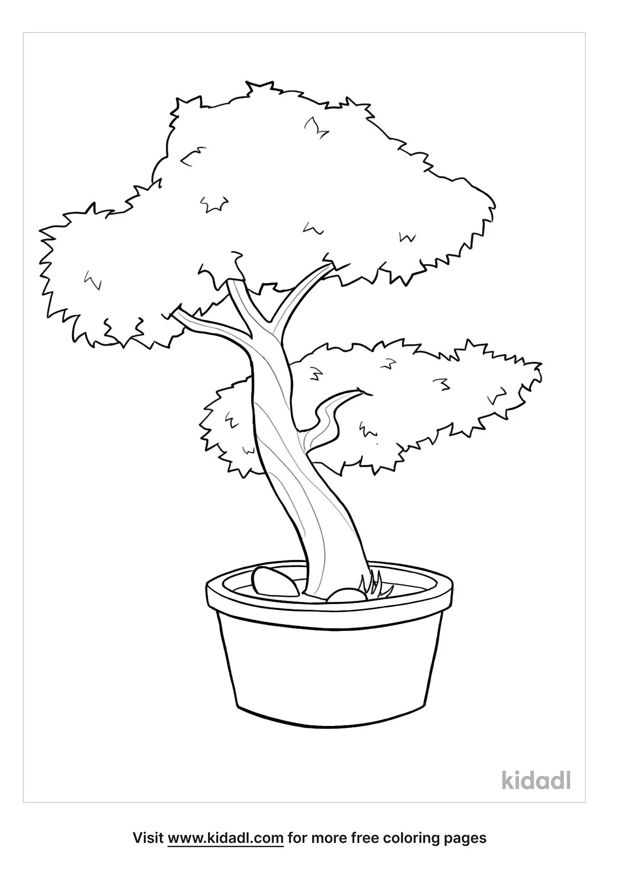 Free tulip poplar bonsai coloring page coloring page printables