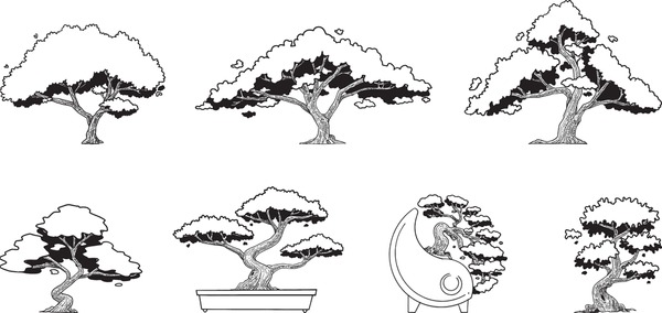 Bonsai tree drawing royalty