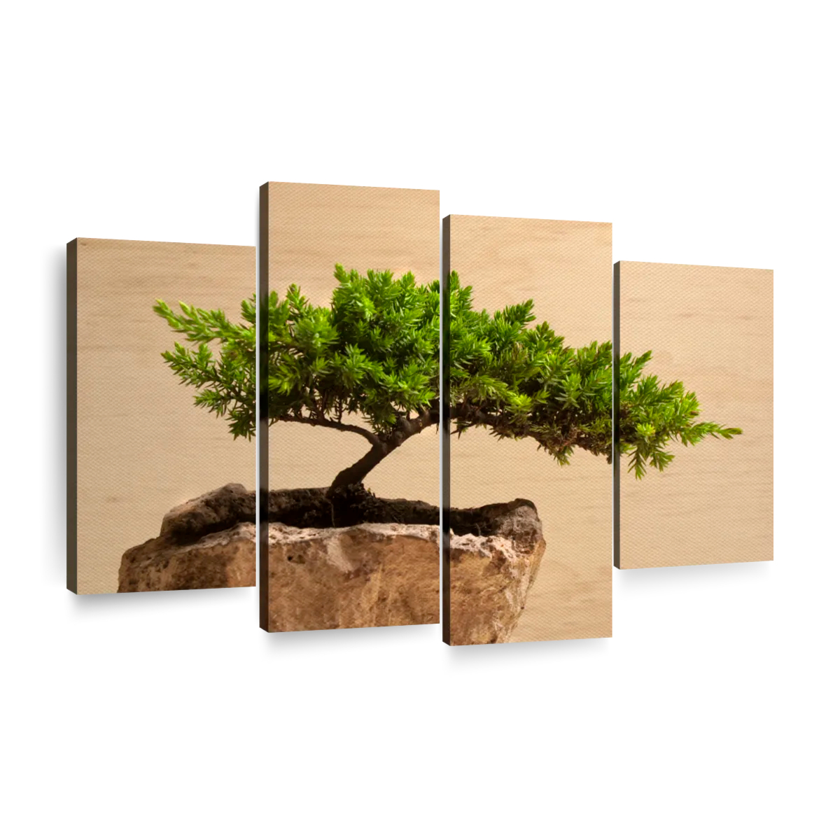 Bonsai tree wall art paintings drawings photograph art prints