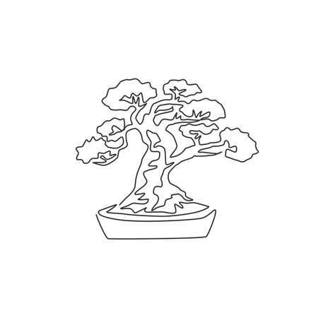 Bonsai tree drawing stock photos and images