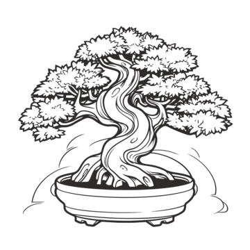 Bonsai drawing png transparent images free download vector files