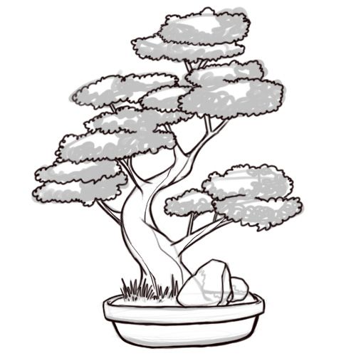 How to draw a bonsai tree tree drawing bonsai tree tattoos tree drawing simple