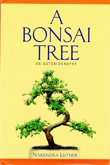 A bonsai tree