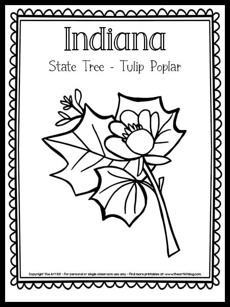 Indiana state tree coloring page tulip poplar free printable â the art kit