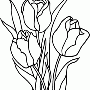 Tulip coloring pages printable for free download