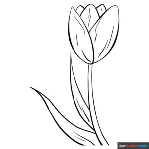 Tulip coloring page easy drawing guides