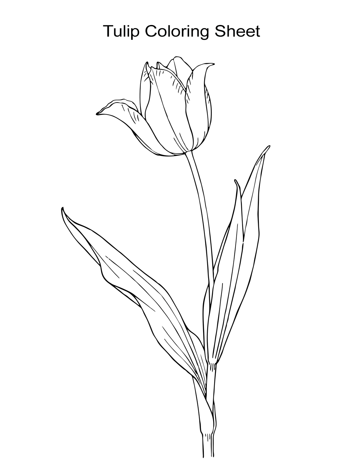 Flower coloring sheets for girls and boys