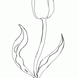 Tulip coloring pages printable for free download